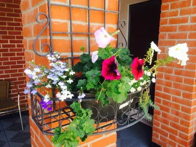 a window box with flowers and butterflies in it at Star Anglia Hotel City Center by OYO in Colchester