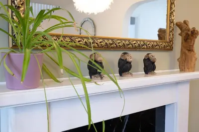 a fireplace mantel with a mirror and a plant at Award Winning Beautiful House in South Cambridge, 14-Min Drive to the City Centre, Free Parking, No Sofabeds, Sleeps 6 in Cambridge
