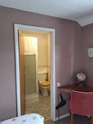 a bathroom with a toilet and a sink and a table at The Prince of Wales in Huntingdon