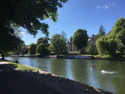 a river with ducks swimming in the water at Bright & spacious first floor apartment Cambridge in Chesterton