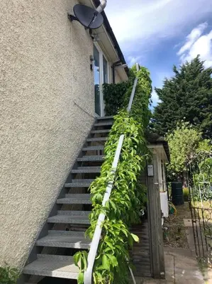 a set of stairs with plants climbing up the side of a building at Bright & spacious first floor apartment Cambridge in Chesterton