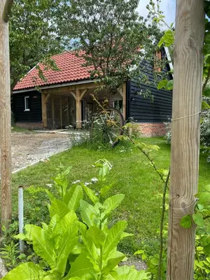 a house with a yard with green plants in front of it at Mulleys Cottage (Bed and Breakfast) in Westleton