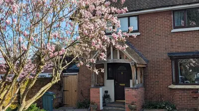 a brick house with a flowering tree in front of it at Little Barham B&B in Wethersfield