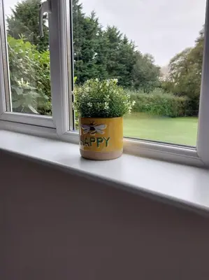 a potted plant sitting on a window sill at The Woodpeckers - Alresford Essex in Alresford