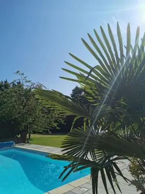 a palm tree sitting next to a swimming pool at The Woodpeckers - Alresford Essex in Alresford
