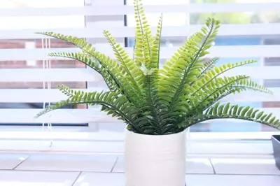 a green plant in a white pot in a window at Stunning 3 bedroom apartment in Harlow, Essex in Harlow
