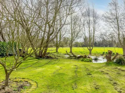 a group of trees in a field with a creek at 3 Bed in Ipswich oc-80545 in Stowmarket