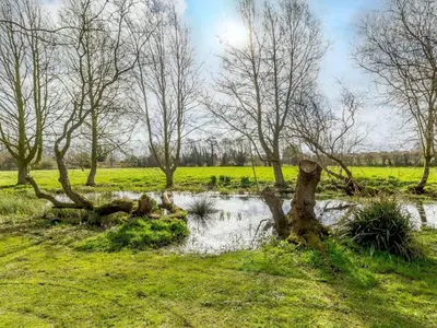 a group of trees and a pond in a field at 3 Bed in Ipswich oc-80545 in Stowmarket