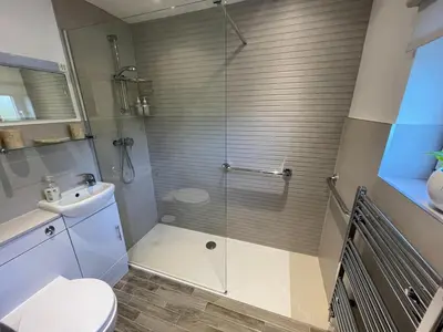a bathroom with a shower with a toilet and a sink at Cosy Country Hideaway opposite Three Horseshoes Pub in Madingley village in Madingley