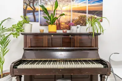 an old piano in a room with plants at Prestige Guest House Cambridge Modern Ensuite Rooms in Cambridge