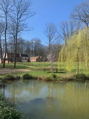 a park with a picnic table and a pond at Private Apartment at Woodland Retreat in Gamlingay