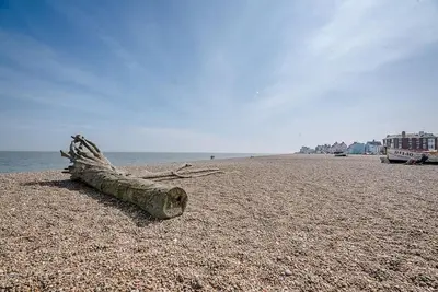 a log laying on a beach next to the water at Court House, Aldeburgh in Aldeburgh