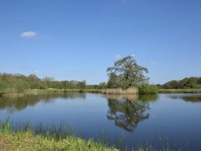 a lake with a tree reflecting in the water at 1 Bed in Norwich oc-57900 in East Harling