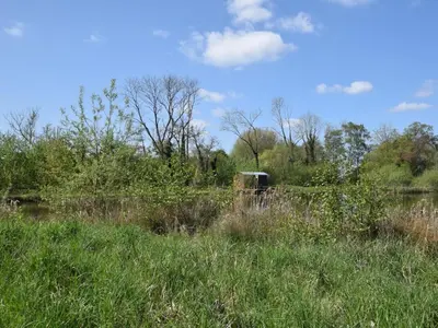 an object in a field with grass and trees at 1 Bed in Norwich oc-57900 in East Harling