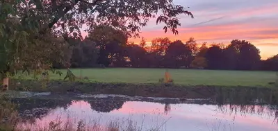 a sunset over a field with a pond at The Granary Stradbroke in Fressingfield