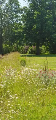 a field of grass with flowers in a park at The Granary Stradbroke in Fressingfield