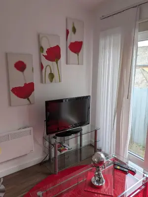 a living room with a tv and a red rug at Colchester Town, modern, detached, guest house in Colchester