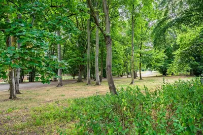 a park with trees and grass and a road at Guest House in Audley End in Saffron Walden