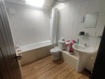 a bathroom with a toilet and a sink and a tub at Birds Farm in Colchester