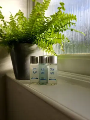 two bottles of sunscreen sitting on a window sill with a plant at Eaglegate in Colchester