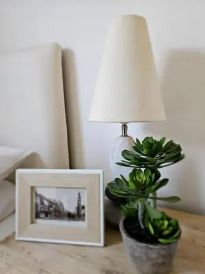 a lamp and a picture on a table with a plant at Eaglegate in Colchester