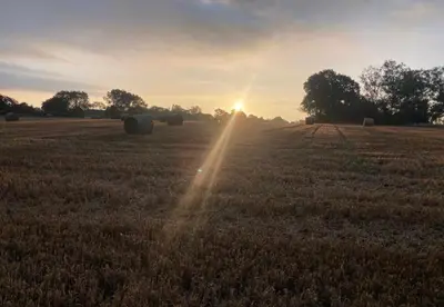 a field with hay bales in the sunset at Whiskers and Woods Shepherd Hut in Denham