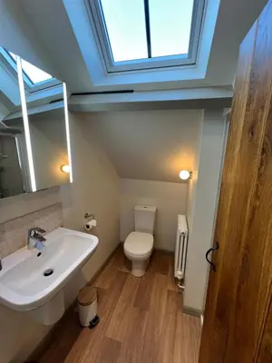 a bathroom with a sink and a toilet with a skylight at The Old Stable at Manor House, Middleton in Middleton