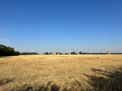 a large field of dry grass with a blue sky at The Old Stable at Manor House, Middleton in Middleton