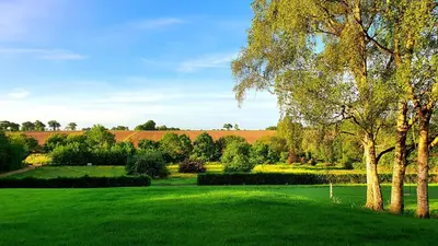 a green field with a tree in the middle at The Nook in Halesworth