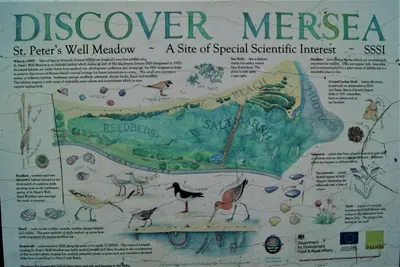 a map of the discovery mexico with birds on it at Secret Mersea Retreat - a stroll from the anchorage! in West Mersea