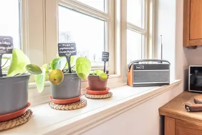 a window sill with three potted plants on it at 3 Old School Cottages, Wissett in Halesworth