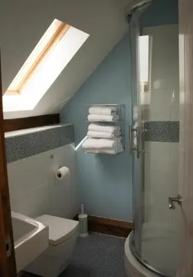 a bathroom with a shower and a toilet and a skylight at The Hayloft at Carpenters Farm in Colchester