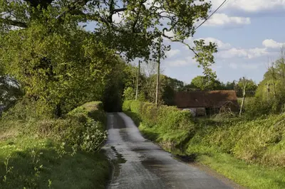 a dirt road with a tree on the side at Crows Hall in Colchester