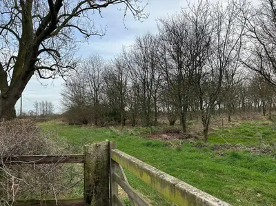 a wooden fence in a field with trees at A family and dog friendly haven, The Hayloft. in Saxmundham