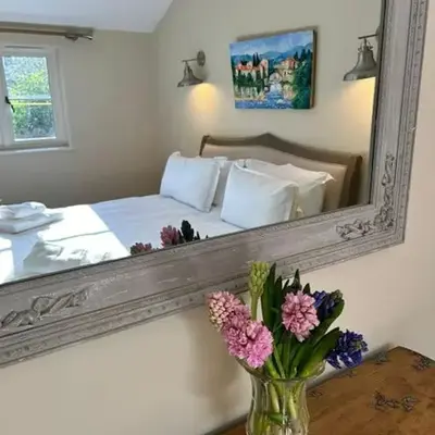 A family and dog friendly haven