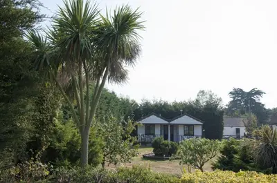 a palm tree in front of a house at Bellropes Countryside Retreat in Bradwell on Sea