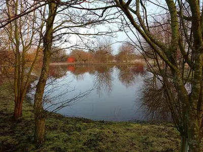 a view of a body of water with trees at The Cartlodge, Debenham in Debenham