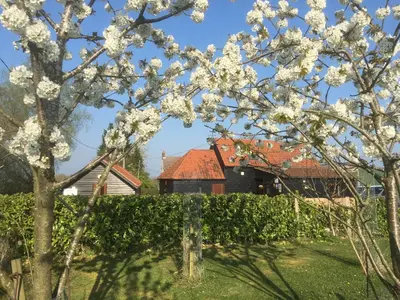 a tree with white flowers in front of a house at Puttocks Farm in Great Dunmow
