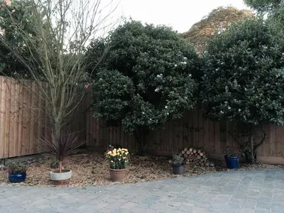 a fence with potted plants and trees in a yard at Kendall Lodge in Burwell
