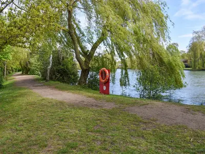 a red object sitting on the grass near a river at Forest Retreat in Saxmundham