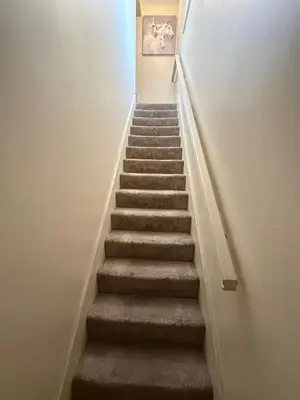 a flight of stairs in a building with a stair case at Comfort Arena in Colchester