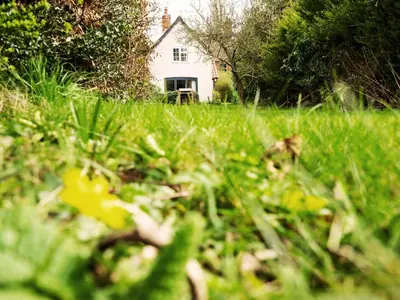 a field of green grass with a house in the background at Prospect Place by The Suffolk Cottage Collection in Westleton