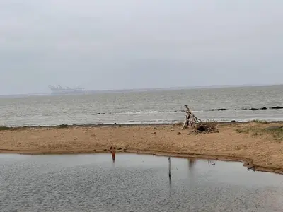 two giraffes standing on a beach near the water at Coastal Nest - Premium flat,3 Minutes to the Beach in Walton-on-the-Naze