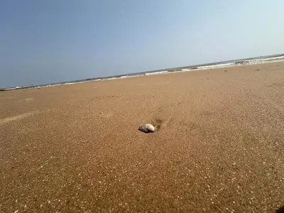 a rock in the sand on a beach at Coastal Nest - Premium flat,3 Minutes to the Beach in Walton-on-the-Naze