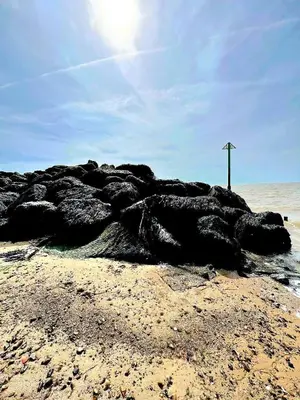 a group of rocks on a beach near the ocean at Pura Vida Caravan in Saint Osyth