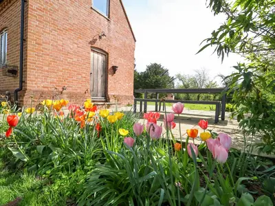 a garden of tulips in front of a brick building at Brook Farm in Harleston