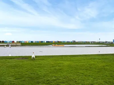 a white bird standing in the grass near a body of water at Swift Johnson in Dovercourt