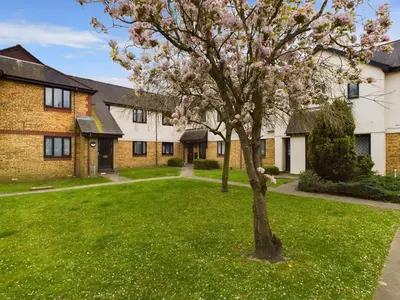 a tree in a yard in front of a house at Cosy Modern Apartment Colchester in Colchester