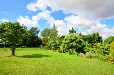a green field with a tree in the middle at 2 Bed in Attleborough oc-1277 in Old Buckenham