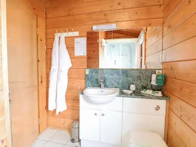 a bathroom with a sink and a mirror at Kingfisher Lodge in Langham